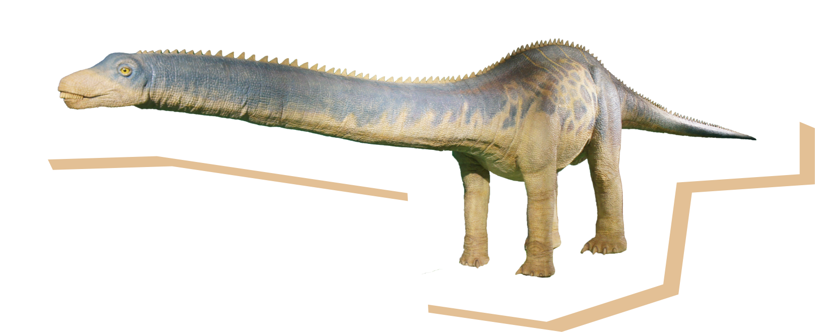 バロサウルスの画像