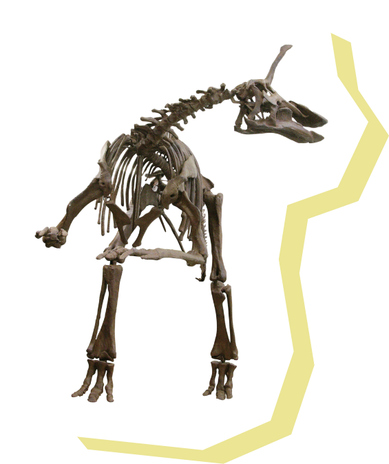 チンタオサウルスの画像